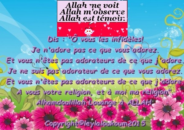 Comme St Thomas, je ne crois que ce que je vois ! - Centerblog