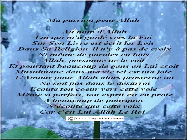 celui qui aime la rencontre d allah