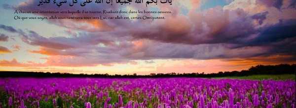Au Nom De La Vérité Jeu Interdit Allah n’a pas honte de la vérité…