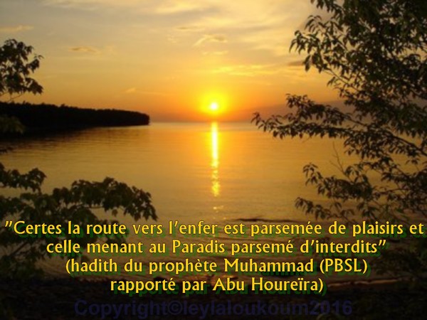 islam rencontres sur le net