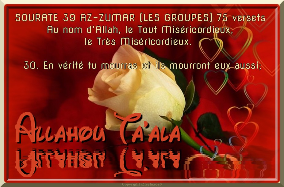 Au Nom De La Vérité Jeu Interdit En vérité tu mourras et ils mourront eux aussi; ensuite..