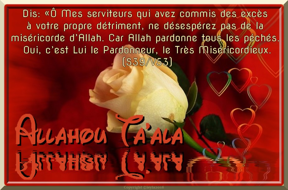 Ne désespérez pas de la miséricorde d’Allah