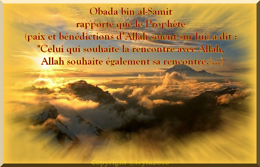 Articles classs Vision de Allah au
