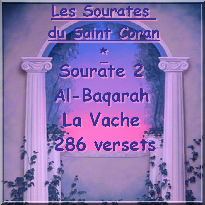 Sourate 2 Al-Baqarah La Vache